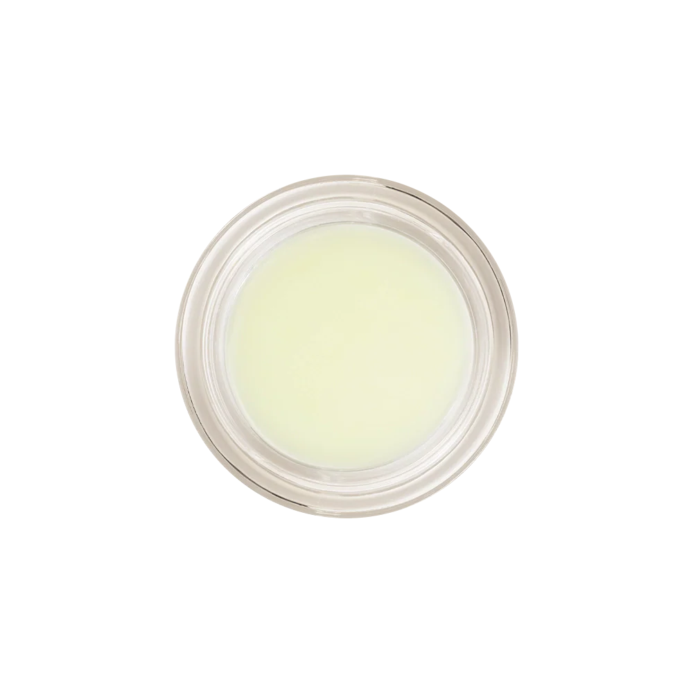 Honeybalm Mint - Image 8